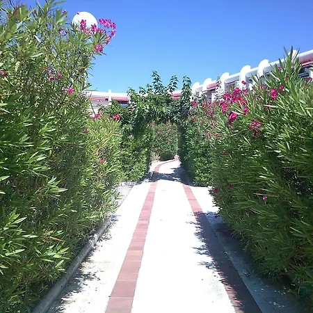 Vittoria Immobilier 11 - Reglement Sur Place - Cheques Acceptes La Grande Motte